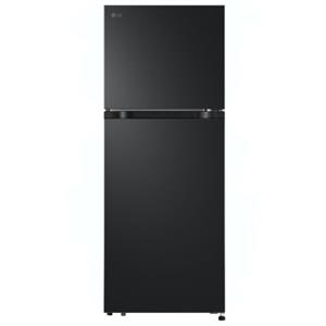 LG Inverter 217 lít LTB21BLMI
