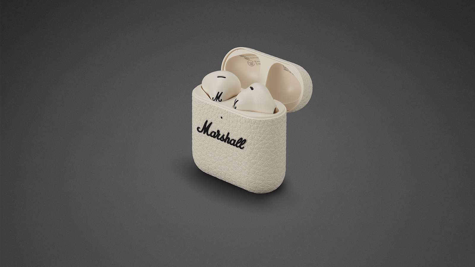 Bluetooth nhét tai Marshall Minor IV — ảnh 5