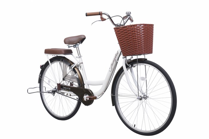 Thống 26 26 inch — ảnh 2