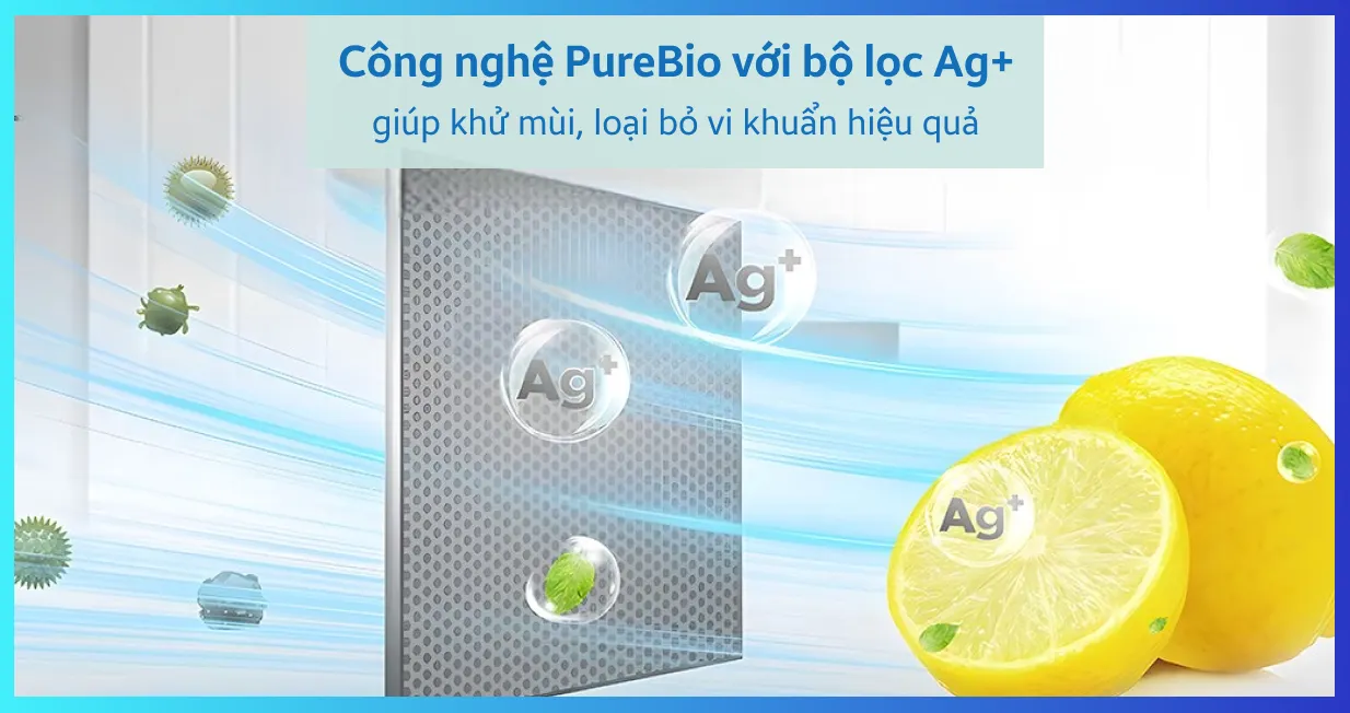 Tủ lạnh Toshiba 233 lít 2023 (GR-RT303WE-PMV(52)) — ảnh 5