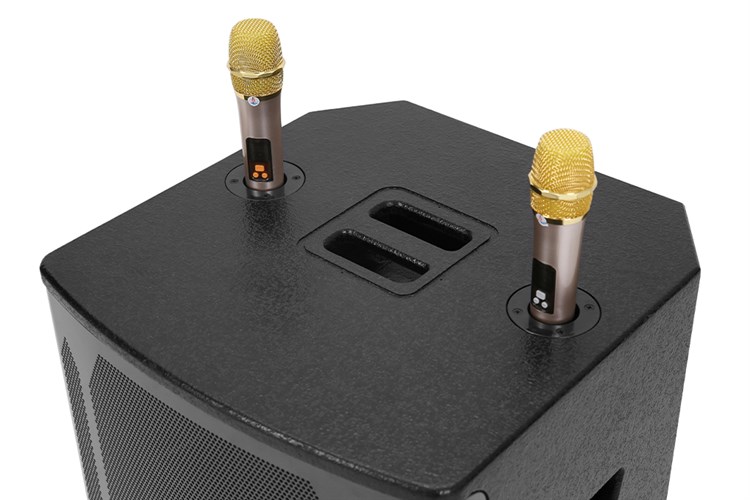 Loa kéo Zenbos K-200 — ảnh 5