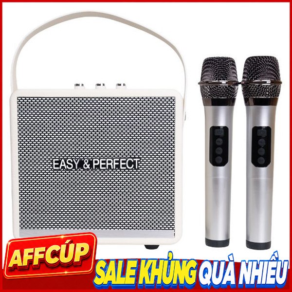 Loa karaoke xách tay Easy Perfect EP-Windy Mẫu