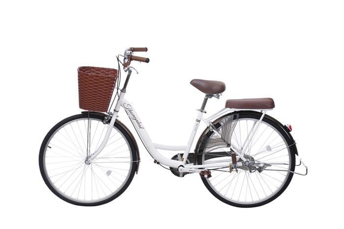 Thống 26 26 inch — ảnh 4