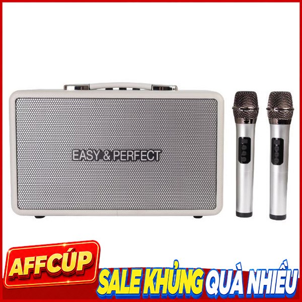 Loa karaoke xách tay Easy Perfect EP-4205 Plus Mẫu