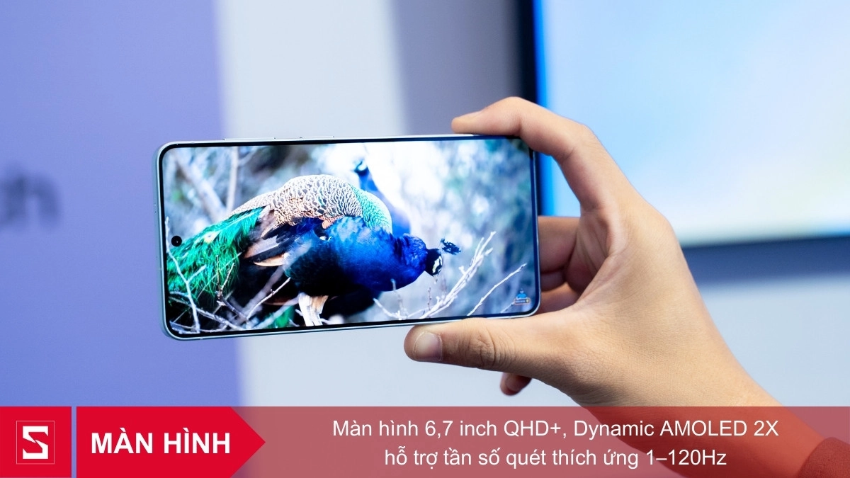 Tấm nền đạt chuẩn QHD+ cùng tần số 120Hz