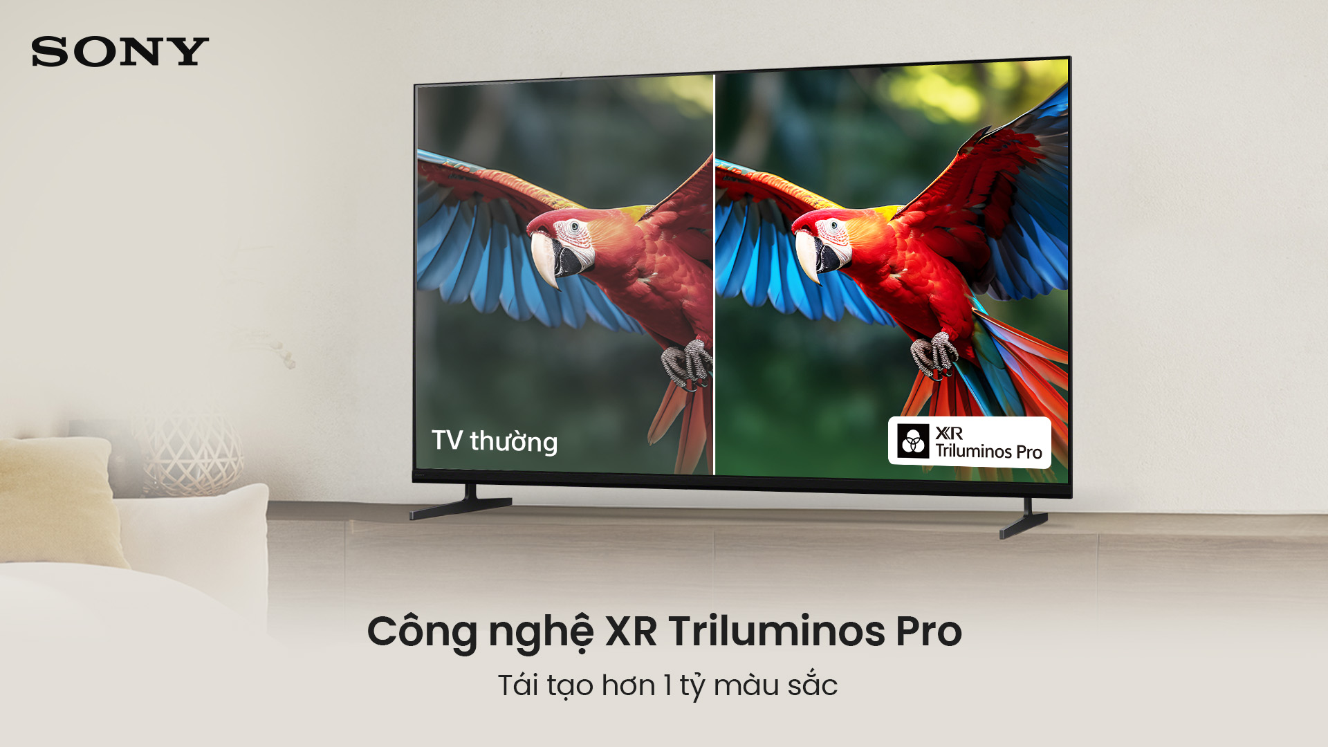 Google TV BRAVIA 3 II K-50XR30M2 — ảnh 4