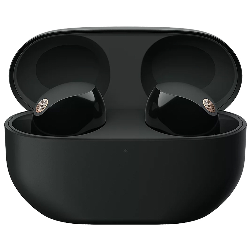 Bluetooth nhét tai Sony WF-1000XM5 — ảnh 2