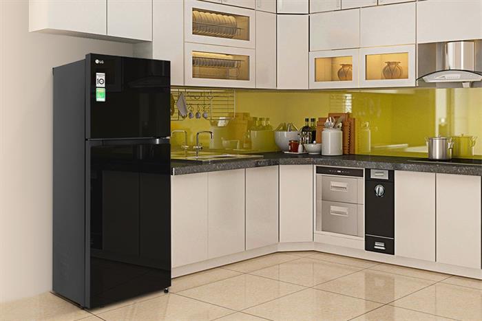 LG Inverter 217 lít T21BG — ảnh 2