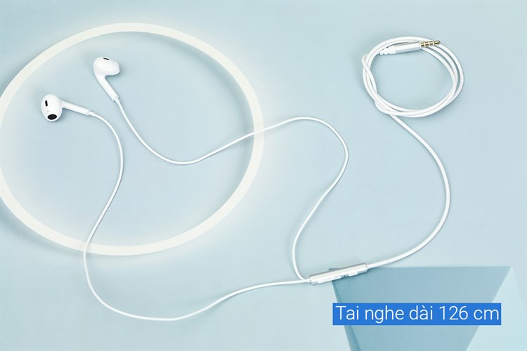 Dây AVA+ LiveBass E1 — ảnh 4