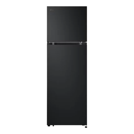 Tủ lạnh LG Inverter 266 lít LTB26BLM — ảnh 2