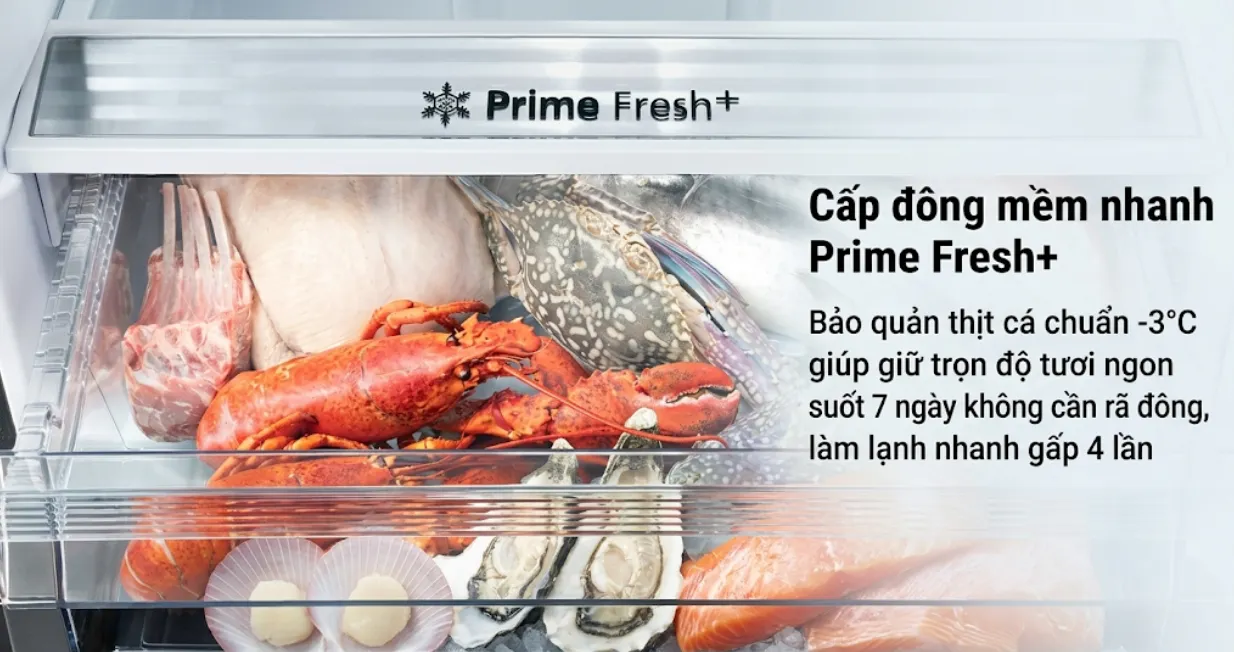 Tủ lạnh Panasonic ngăn đá dưới 377L ngăn đông mềm 2021 (NR-BX421GPKV) — ảnh 4