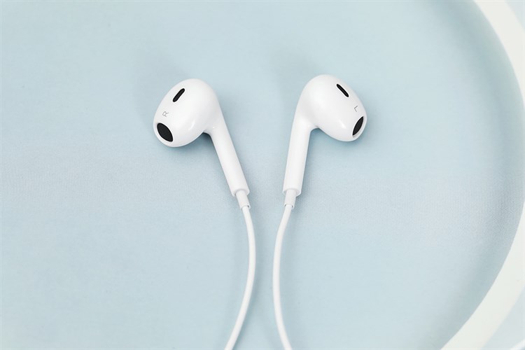 Dây AVA+ LiveBass E1 — ảnh 6