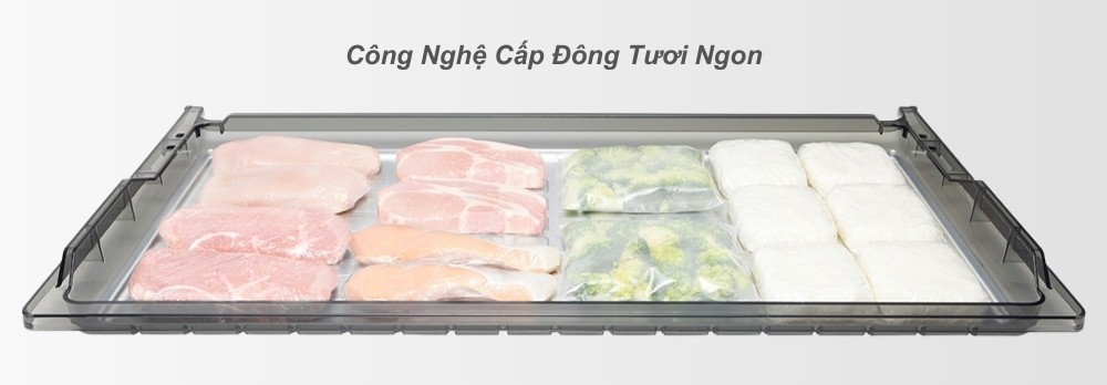 Công nghệ cấp đông tươi ngon giúp thực phẩm giữ nguyên hương vị và độ tươi sau rã đông