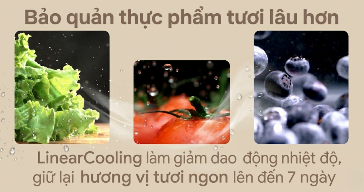 Tủ lạnh LG 374 lít 2024 (LTD37BLM) — ảnh 3