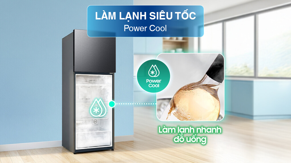 Inverter 345 Lít RT35CG5544B1SV — ảnh 10