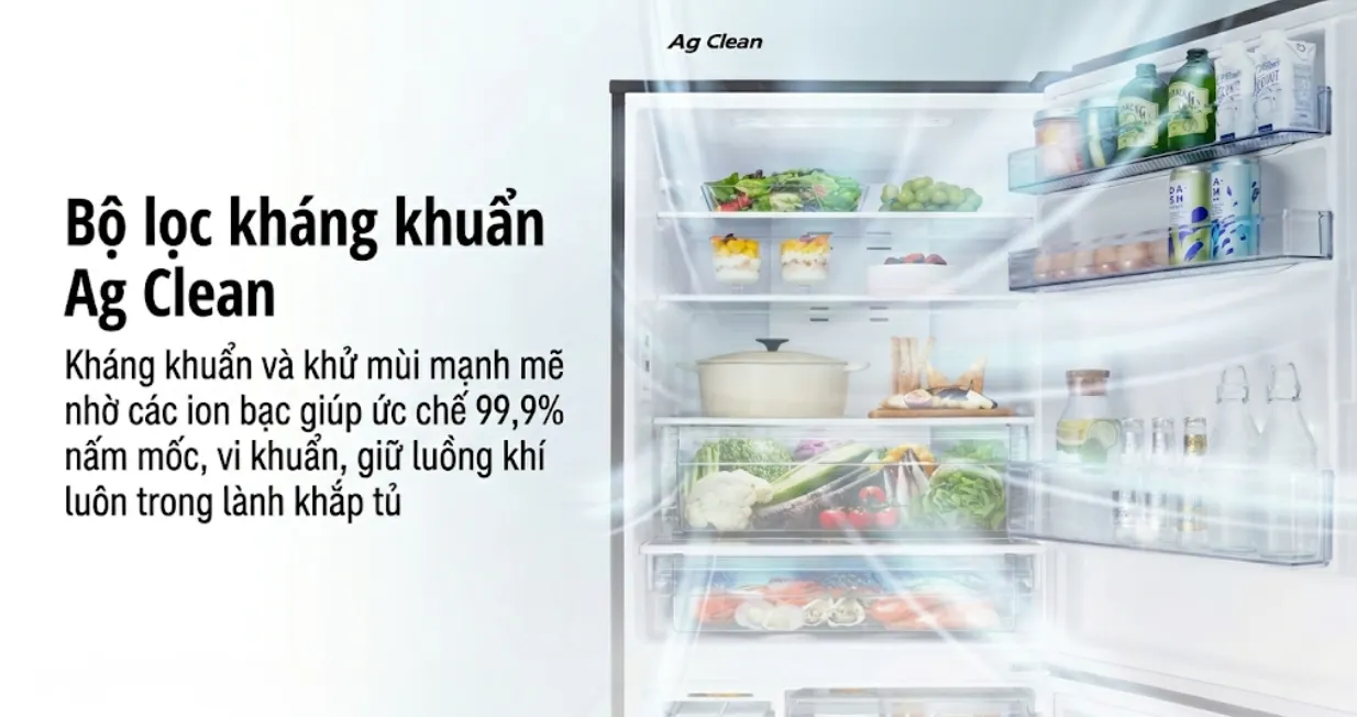 Tủ lạnh Panasonic ngăn đá dưới 377L ngăn đông mềm 2021 (NR-BX421GPKV) — ảnh 5