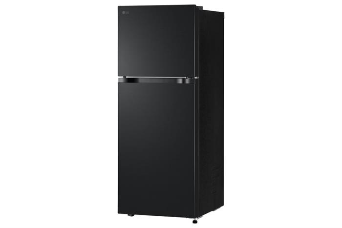 LG Inverter 217 lít LTB21BLMI — ảnh 3