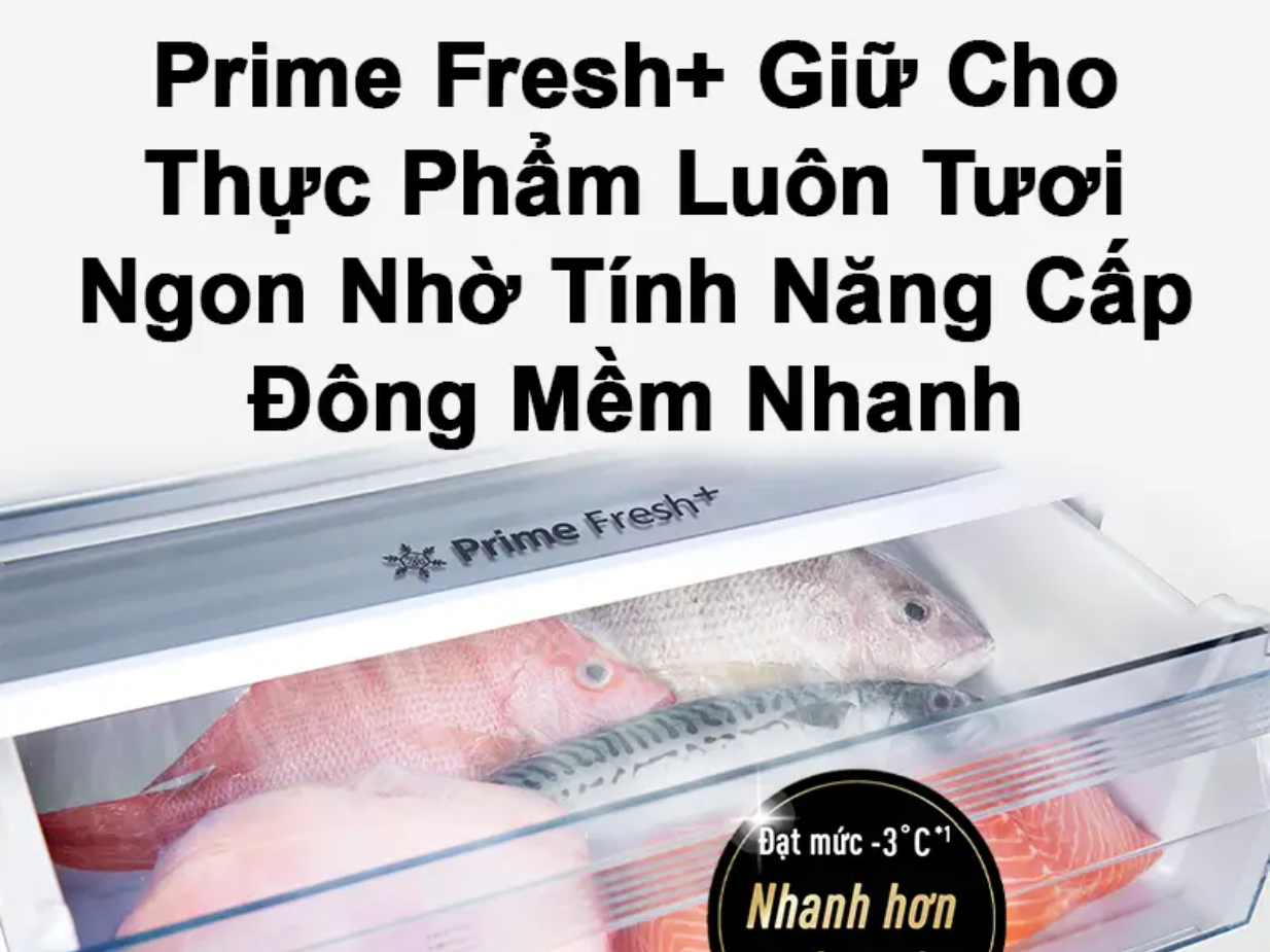 Tủ lạnh Panasonic ngăn đá dưới ngăn đông mềm 251L 2023 NR-SP275CPAV — ảnh 6