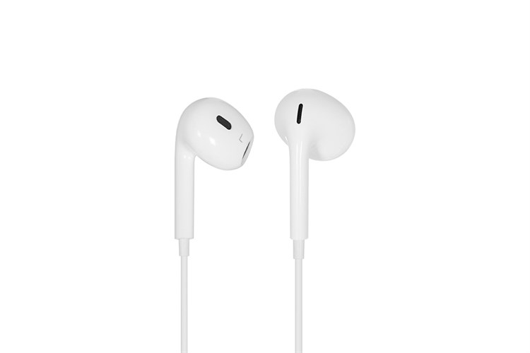 Dây AVA+ LiveBass E1 — ảnh 3