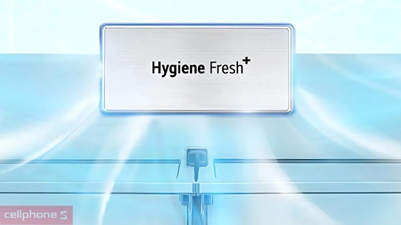 Bộ lọc khử mùi Hygiene Fresh+