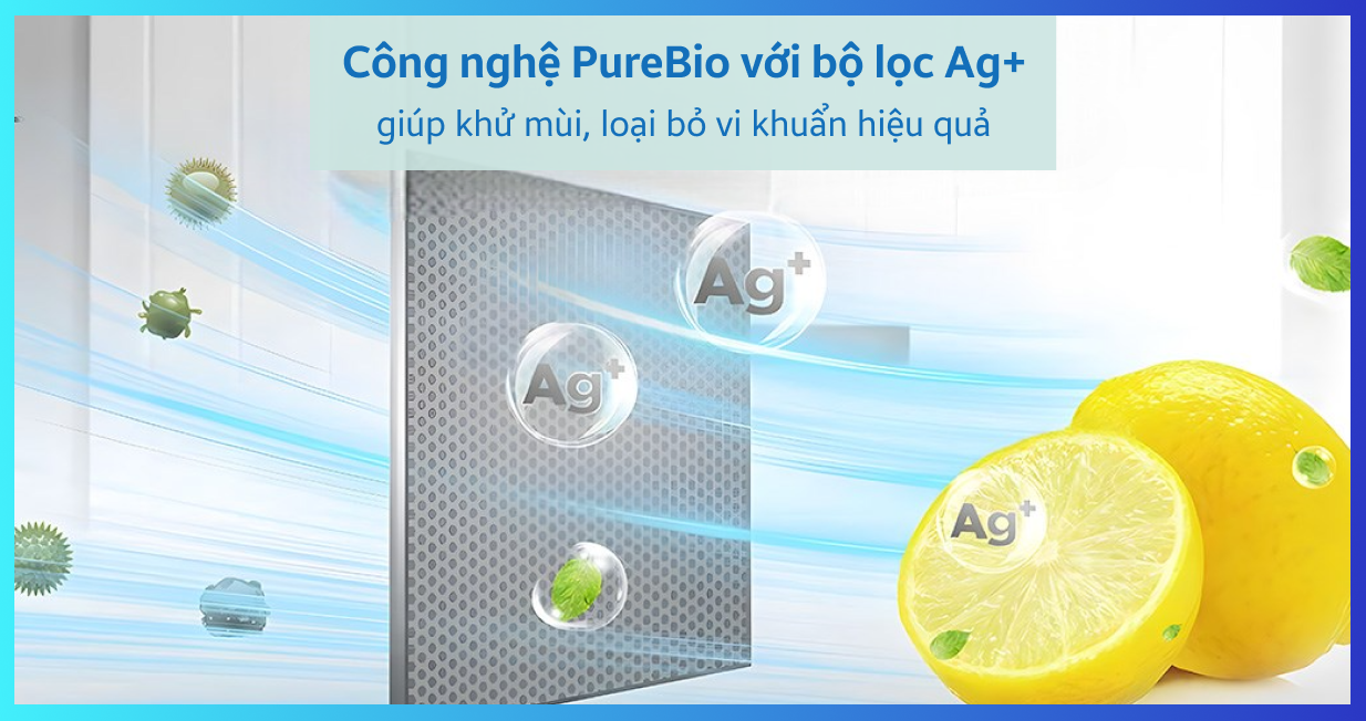Tủ lạnh Toshiba 180 lít 2023 (GR-RT234WE-PMV(52)) — ảnh 7