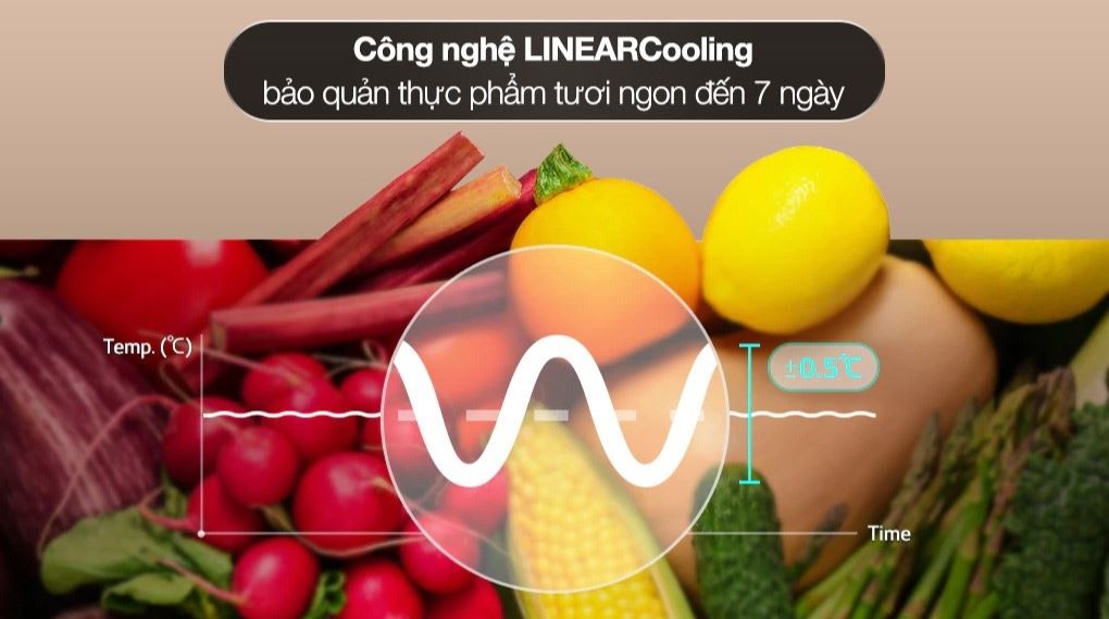 Tủ lạnh LG Inverter 335 lít LTB33BLG - Công nghệ làm lạnh + Công nghệ bảo quản thực phẩm