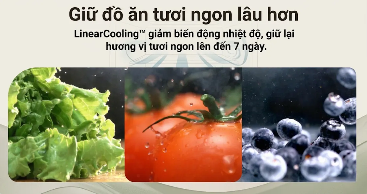 Tủ lạnh LG Side By Side 635 lít 2023 (GR-X257BL) — ảnh 4