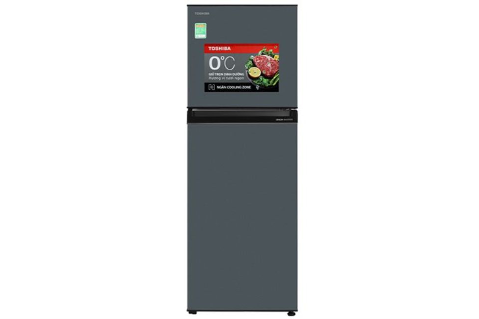 tu-lanh-toshiba-inverter-253-lit-gr-rt329we-pmv52-2.jpg