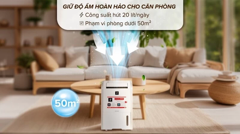 Không gian hiện đại.