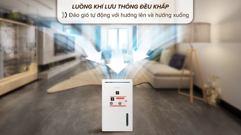 Đa dạng không gian.