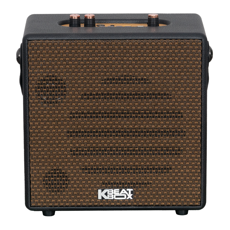 Loa karaoke xách tay SONCAMEDIA CarryOn — ảnh 8