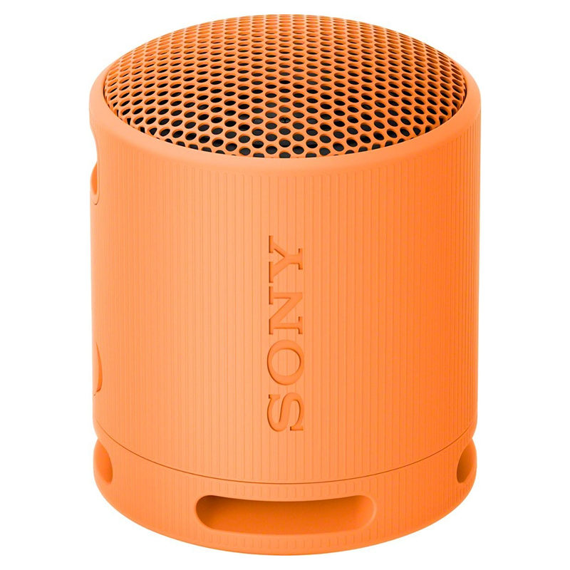 Loa Bluetooth Sony SRS-XB100 Extra Bass — ảnh 3