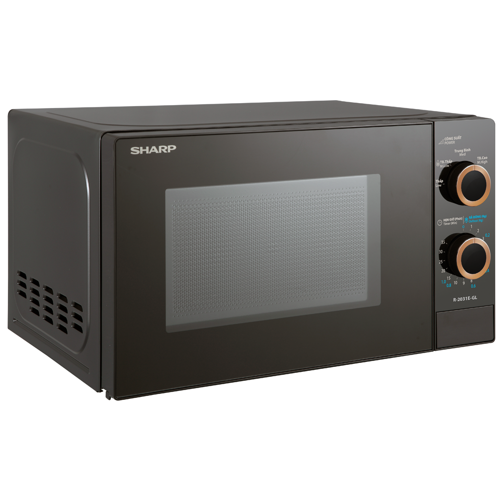 Lò Vi Sóng R-2031E-GL 20 Lít — ảnh 4