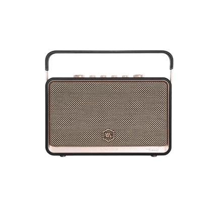 Loa Di Động Retro Alpha Works W99 (kèm 2 Micro) — ảnh 2