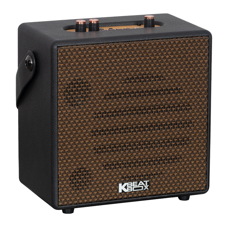 Loa karaoke xách tay SONCAMEDIA CarryOn — ảnh 10