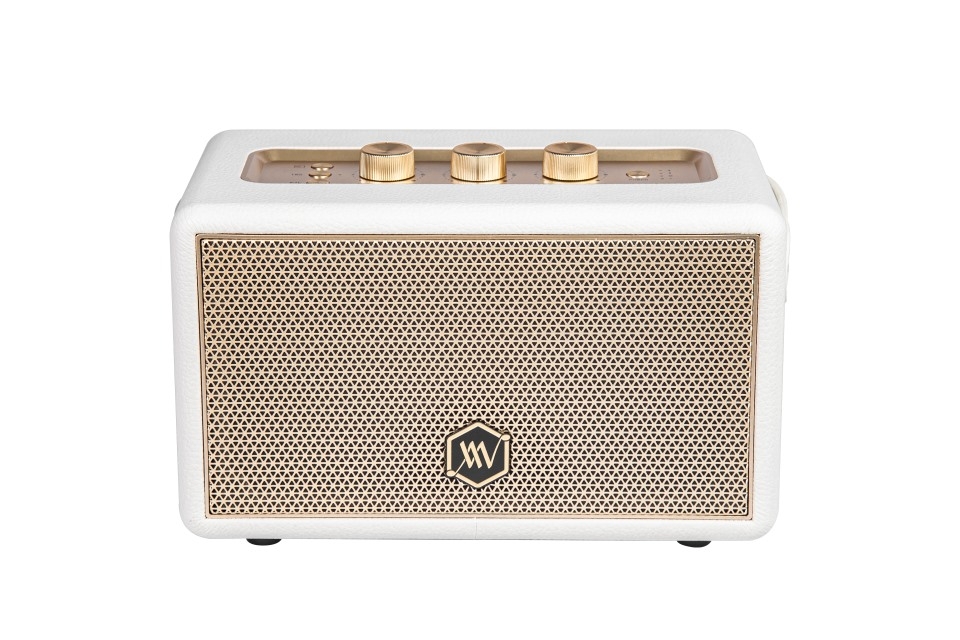 Loa Bluetooth ALPHA WORKS AW-W88 — ảnh 8