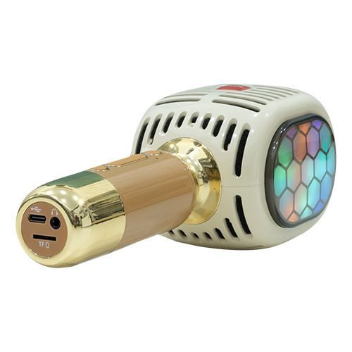 Micro hát kèm loa iCore YM99 — ảnh 3