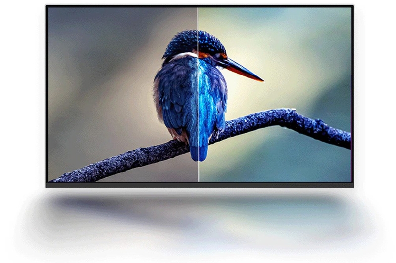 Màn hình Lenovo L24i-4A Hiển thị sắc sảo, góc trông ảnh rộng mở