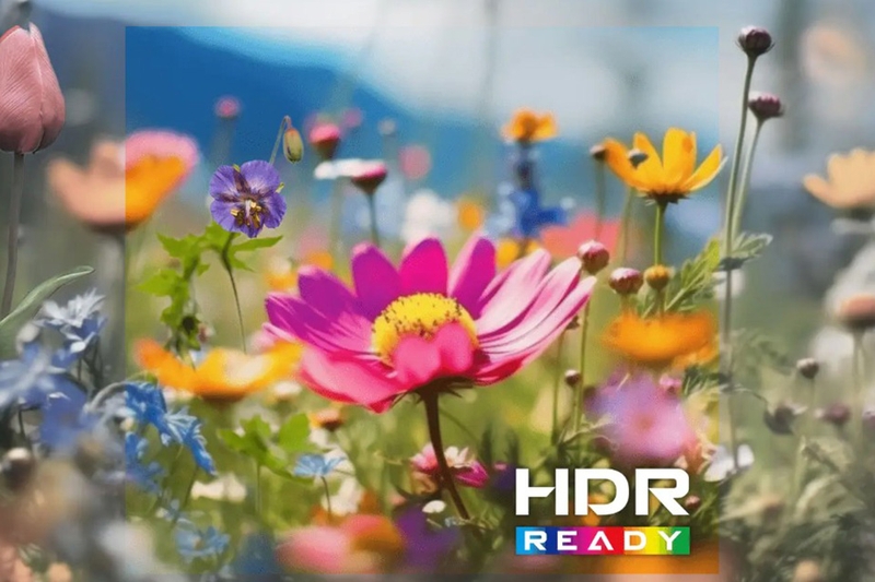 Màn hình MSI Pro MP273L E14 - HDR Ready: Trải nghiệm hình ảnh sống động