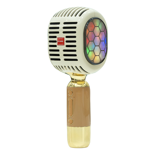 Micro hát kèm loa iCore YM99 — ảnh 1