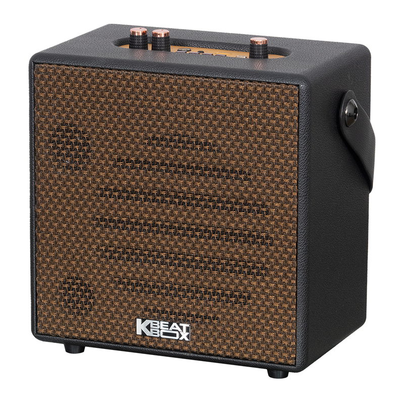 Loa karaoke xách tay SONCAMEDIA CarryOn — ảnh 9