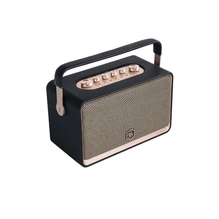Loa Di Động Retro Alpha Works W99 (kèm 2 Micro) — ảnh 5