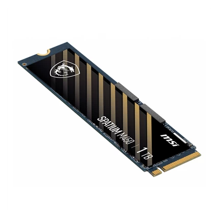 Ổ cứng SSD MSI SPATIUM M450 1TB — ảnh 3