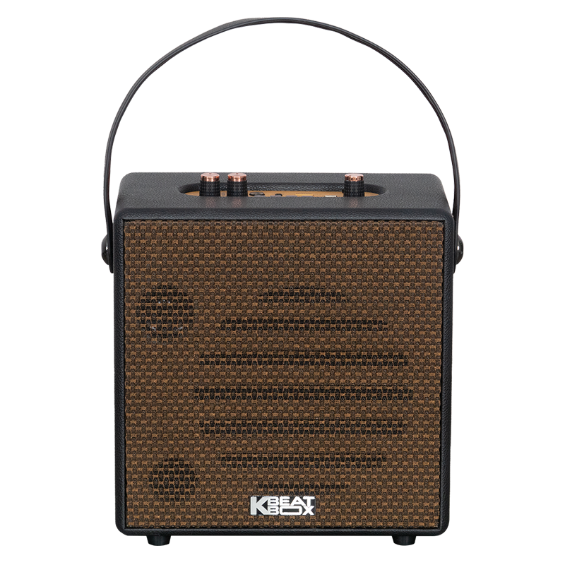 Loa karaoke xách tay SONCAMEDIA CarryOn — ảnh 2