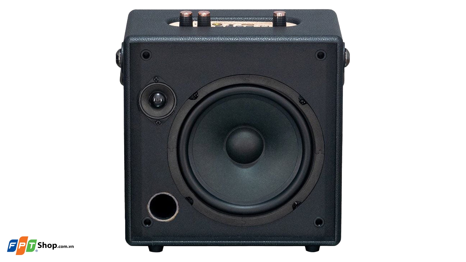 Loa karaoke xách tay SONCAMEDIA CarryOn — ảnh 6