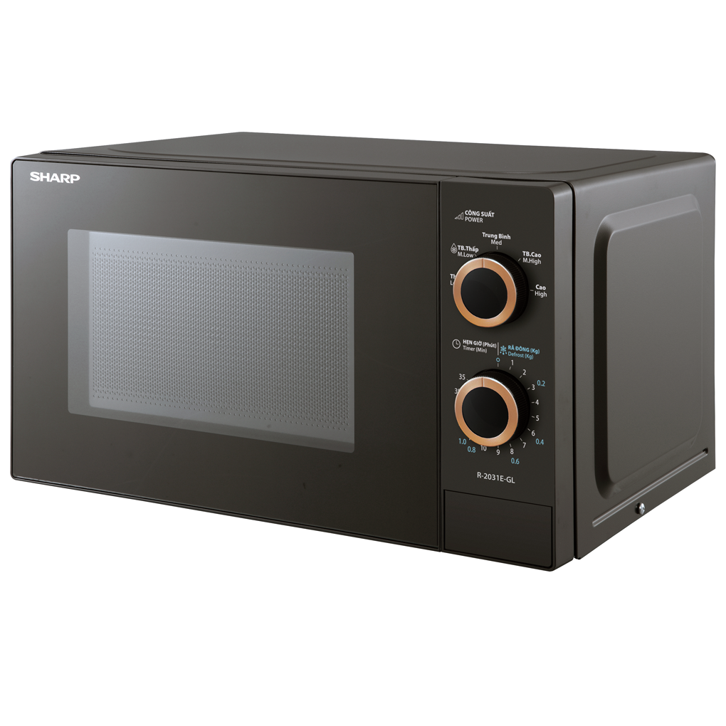 Lò Vi Sóng R-2031E-GL 20 Lít — ảnh 3