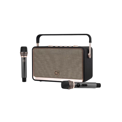 Loa Di Động Retro Alpha Works W99 (kèm 2 Micro) — ảnh 3