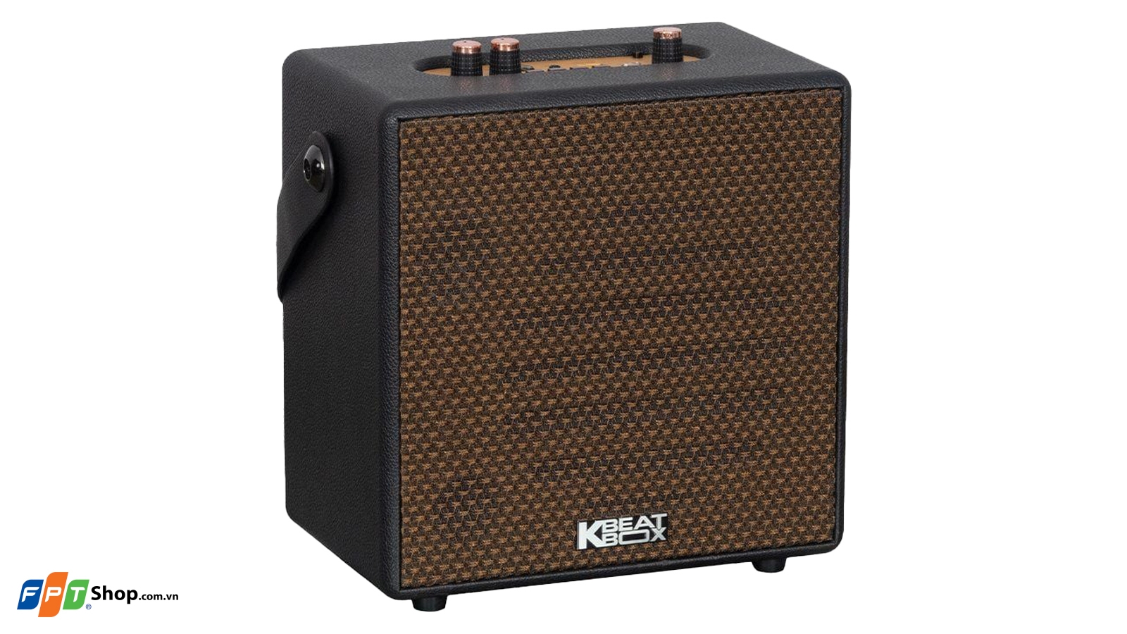 Loa karaoke xách tay SONCAMEDIA CarryOn — ảnh 4