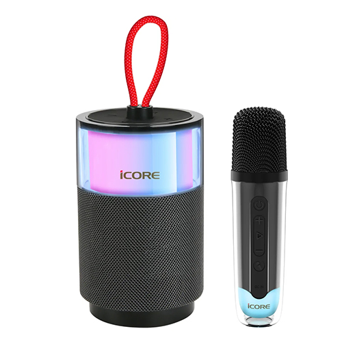 Loa Bluetooth iCore ISM03 kèm 1 Micro — ảnh 1