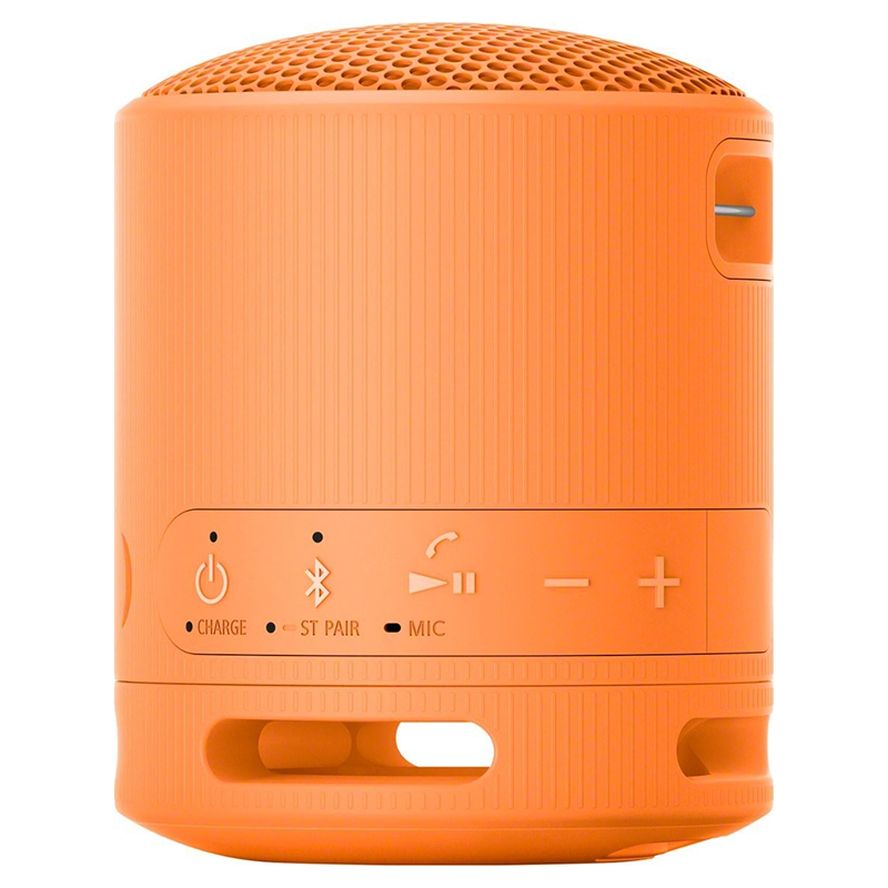 Loa Bluetooth Sony SRS-XB100 Extra Bass — ảnh 5
